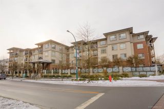 Photo 1: 112 2346 MCALLISTER Avenue in Port Coquitlam: Central Pt Coquitlam Condo for sale in "THE MAPLES" : MLS®# R2135962