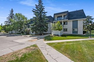Photo 22: 2310 3115 51 Street SW in Calgary: Glenbrook Apartment for sale : MLS®# A2056472