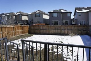 Photo 35: 1217 Brightoncrest Common SE in Calgary: New Brighton Detached for sale : MLS®# A2120372