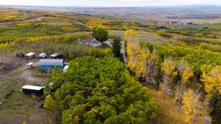 Photo 11: 64243 306 Avenue W: Rural Foothills County Detached for sale : MLS®# A2084031