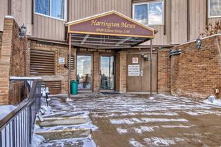 Photo 19: 513 8948 Elbow Drive SW in Calgary: Haysboro Apartment for sale : MLS®# A2106950