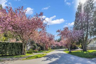 Photo 13: 1631 134 Street in Surrey: Crescent Bch Ocean Pk. House for sale in "AMBLEGREEN SOUTH" (South Surrey White Rock)  : MLS®# R2876257