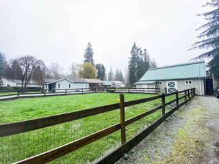 Photo 5: 13031 224 Street in Maple Ridge: West Central House for sale : MLS®# R2667301