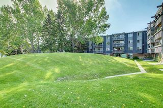 Photo 36: 327 820 89 Avenue SW in Calgary: Haysboro Apartment for sale : MLS®# A1170010
