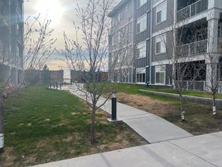 Photo 24: 103 300 Auburn Meadows Common SE in Calgary: Auburn Bay Apartment for sale : MLS®# A2127050