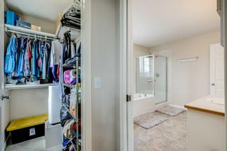 Photo 14: 163 Silver Springs Way NW: Airdrie Detached for sale : MLS®# A2127801