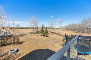 Photo 9: 20156 Dewinton Riding Club Road E: Rural Foothills County Detached for sale : MLS®# A1201689