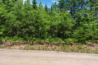 Photo 13: Lot 9 Old Renfrew Road in Upper Rawdon: 105-East Hants/Colchester West Vacant Land for sale (Halifax-Dartmouth)  : MLS®# 202306245