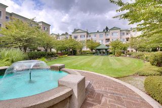 Photo 3: 311 2995 PRINCESS CRESCENT in Coquitlam: Canyon Springs Condo for sale : MLS®# R2414281