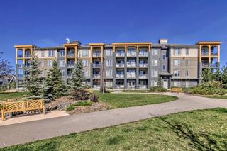 Photo 34: 411 300 Auburn Meadows Manor SE in Calgary: Auburn Bay Apartment for sale : MLS®# A2081264