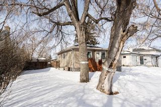 Photo 2: 356 Aldine Street in Winnipeg: Silver Heights Residential for sale (5F)  : MLS®# 202304462