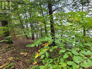 Photo 11: 142 LORLEI DRIVE in White Lake: Vacant Land for sale : MLS®# 1371001