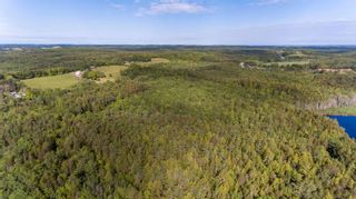 Photo 4: Lower Branch Lots in Lower Branch: 405-Lunenburg County Vacant Land for sale (South Shore)  : MLS®# 202115974