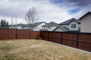 Photo 46: 6 Kincora Gardens NW in Calgary: Kincora Detached for sale : MLS®# A1204301