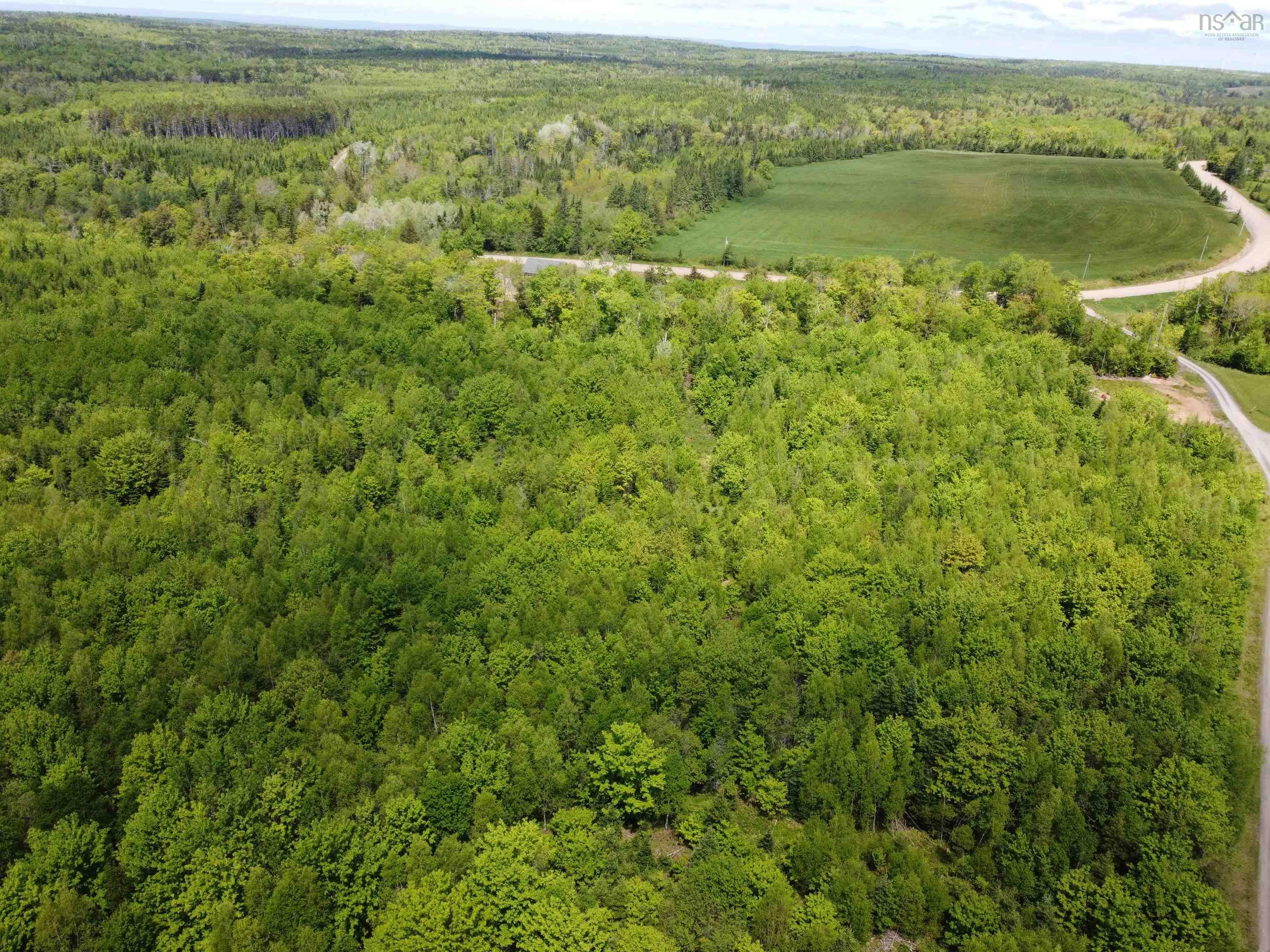 Main Photo: 726 Pleasant Brook Road in Pleasant Valley: 104-Truro / Bible Hill Vacant Land for sale (Northern Region)  : MLS®# 202213013