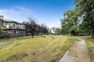 Photo 33: 142 7172 Coach Hill Road SW in Calgary: Coach Hill Row/Townhouse for sale : MLS®# A2075425