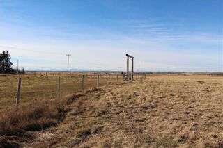 Photo 5: #27 Highway: Rural Mountain View County Commercial Land for sale : MLS®# A1194353