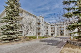 Photo 43: 116 260 Shawville Way SE in Calgary: Shawnessy Apartment for sale : MLS®# A2043979