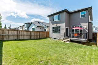Photo 25: 2043 BRIGHTONCREST Common SE in Calgary: New Brighton Detached for sale : MLS®# A1009985