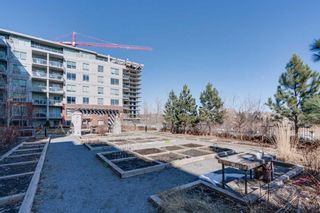 Photo 12: 1102 38 9 Street NE in Calgary: Bridgeland/Riverside Apartment for sale : MLS®# A2096130