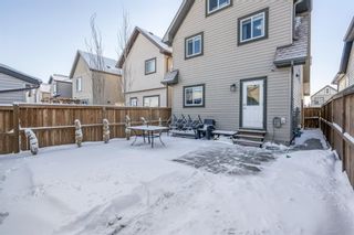 Photo 42: 427 Copperpond Boulevard SE in Calgary: Copperfield Detached for sale : MLS®# A1185949