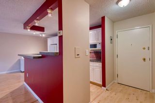 Photo 3: 308 816 89 Avenue SW in Calgary: Haysboro Apartment for sale : MLS®# A1228379