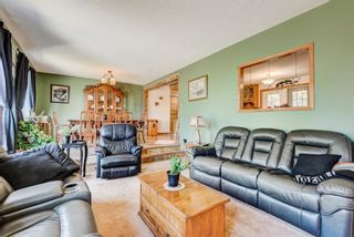 Photo 8: 5 Canal Court in Rural Rocky View County: Rural Rocky View MD Detached for sale : MLS®# A1095312