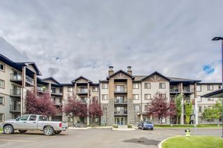 Photo 21: 1423 8 BRIDLECREST Drive SW in Calgary: Bridlewood Condo for sale : MLS®# C4138425