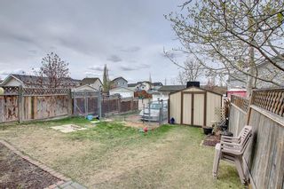 Photo 40: 285 Hidden Spring Green NW in Calgary: Hidden Valley Detached for sale : MLS®# A1218008