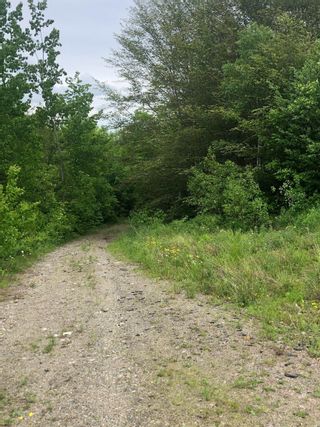 Photo 5: Lot Morganville Road in Bear River: Annapolis County Vacant Land for sale (Annapolis Valley)  : MLS®# 202213446