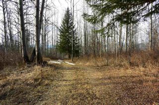 Photo 21: 9410 ADAMS Road in Smithers: Smithers - Rural Land for sale in "Driftwood" (Smithers And Area (Zone 54))  : MLS®# R2670519
