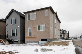 Photo 29: 8 Cornerbrook Avenue NE in Calgary: Cornerstone Detached for sale : MLS®# A1240909