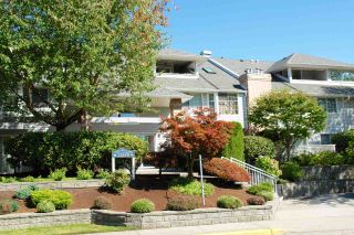 Photo 17: 101 11578 225 Street in Maple Ridge: East Central Condo for sale in "THE WILLOWS" : MLS®# R2201639