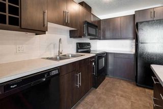 Photo 9: 408 55 Spruce Place SW in Calgary: Spruce Cliff Apartment for sale : MLS®# A2089588