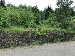 Photo 4: Lot 2 Cedar Drive in Blind Bay: Vacant Land for sale : MLS®# 10256384