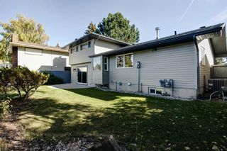 Photo 24: 208 Parkvalley Drive SE in Calgary: Parkland Detached for sale : MLS®# A2003593