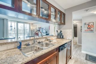 Photo 26: 206 429 14 Street NW in Calgary: Hillhurst Apartment for sale : MLS®# A1178055