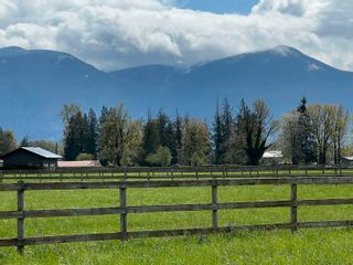 Photo 16: 11288 MCSWEEN Road in Chilliwack: Fairfield Island House for sale : MLS®# R2845554