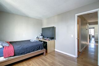 Photo 14: 51 Erin Grove Place SE in Calgary: Erin Woods Detached for sale : MLS®# A1180419