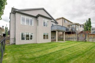 Photo 33: 19 COUGAR RIDGE View SW in Calgary: Cougar Ridge Detached for sale : MLS®# A1177617
