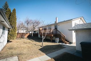 Photo 4: 646 Berkley Street in Winnipeg: Charleswood Residential for sale (1G)  : MLS®# 202105953