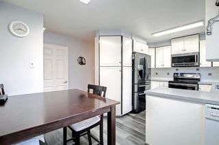 Photo 14: 5254 Thomas Street NE in Calgary: Thorncliffe Detached for sale : MLS®# A1204181