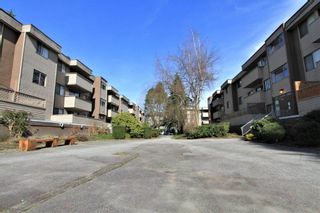Photo 16: 23 2444 WILSON Avenue in Port Coquitlam: Central Pt Coquitlam Condo for sale in "ORCHARD" : MLS®# R2247251