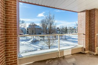 Photo 23: 202 8 Hemlock Crescent SW in Calgary: Spruce Cliff Apartment for sale : MLS®# A2014610