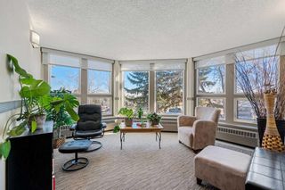 Photo 20: 117 816 89 Avenue SW in Calgary: Haysboro Apartment for sale : MLS®# A2134693