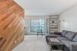 Photo 19: 28 3519 49 Street NW in Calgary: Varsity Apartment for sale : MLS®# A2011852