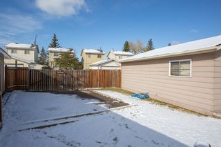 Photo 33: 23 Erin Woods Place SE in Calgary: Erin Woods Detached for sale : MLS®# A1043975