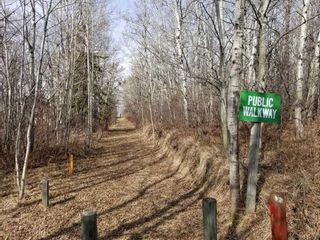 Photo 11: Lakeview Drive: Rural Camrose County Residential Land for sale : MLS®# A2129369