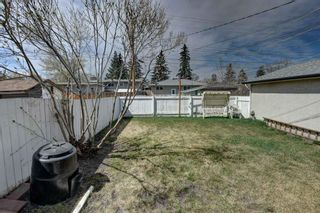 Photo 27: 212 68 Avenue NE in Calgary: Huntington Hills Detached for sale : MLS®# A2047768