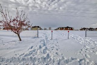 Photo 49: 269 WESTCHESTER Green: Chestermere Detached for sale : MLS®# A2010625